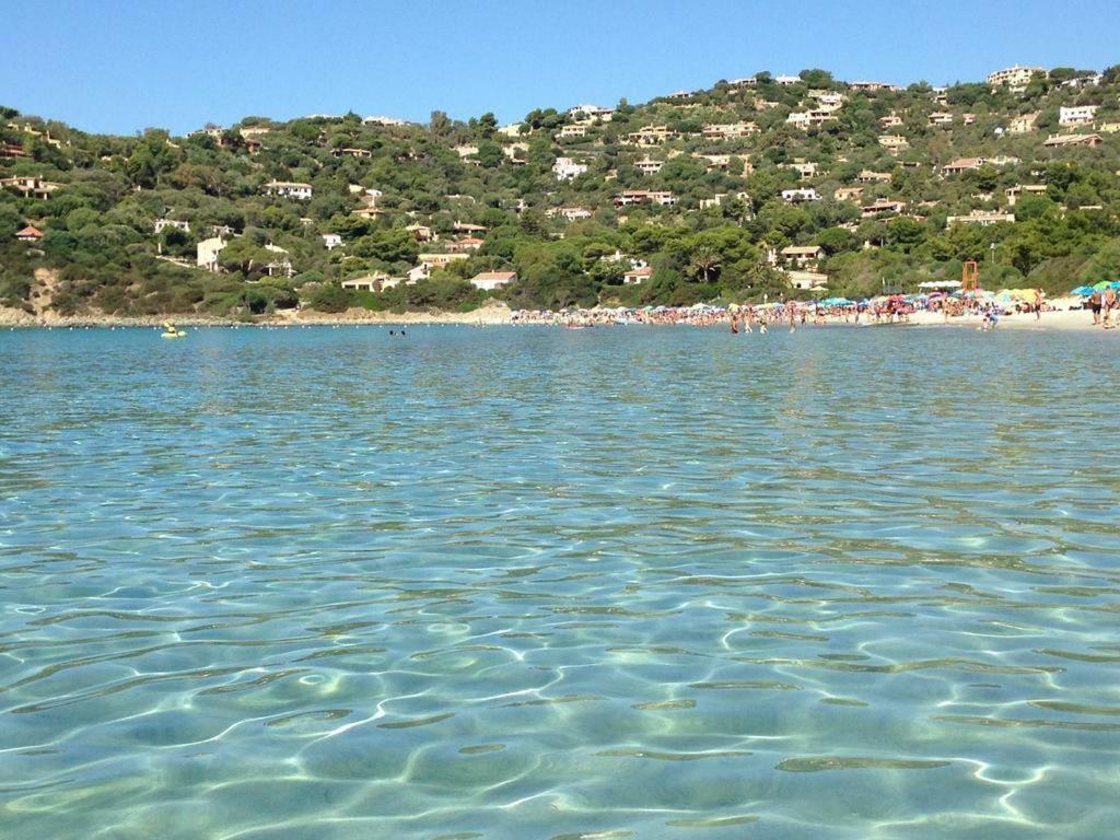Villa Acquamarina Semi Detached Villa With Private Pool And Wifi トッレ・デッレ・ステッレ エクステリア 写真